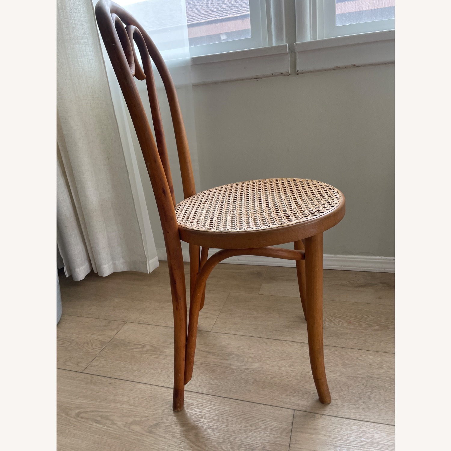 Thonet Dining Chairs - image-4