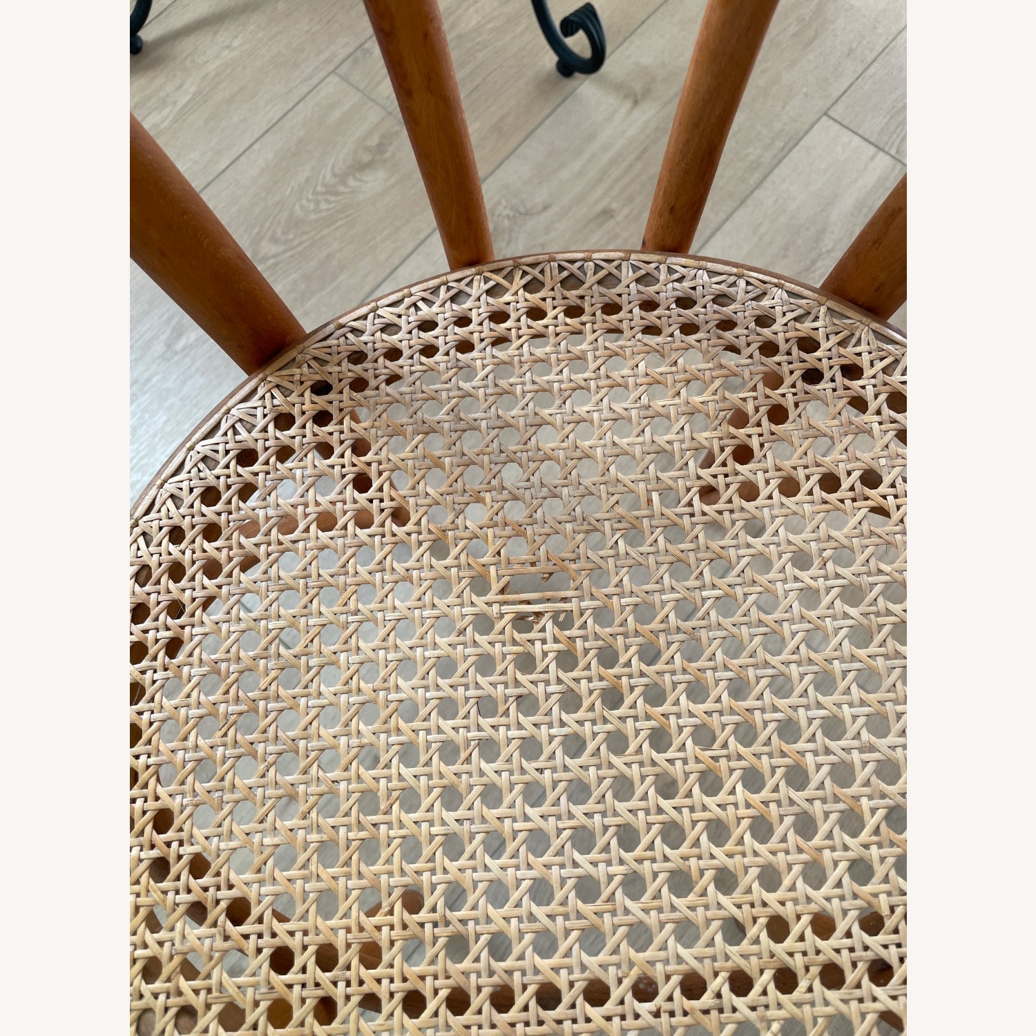 Thonet Dining Chairs - image-3