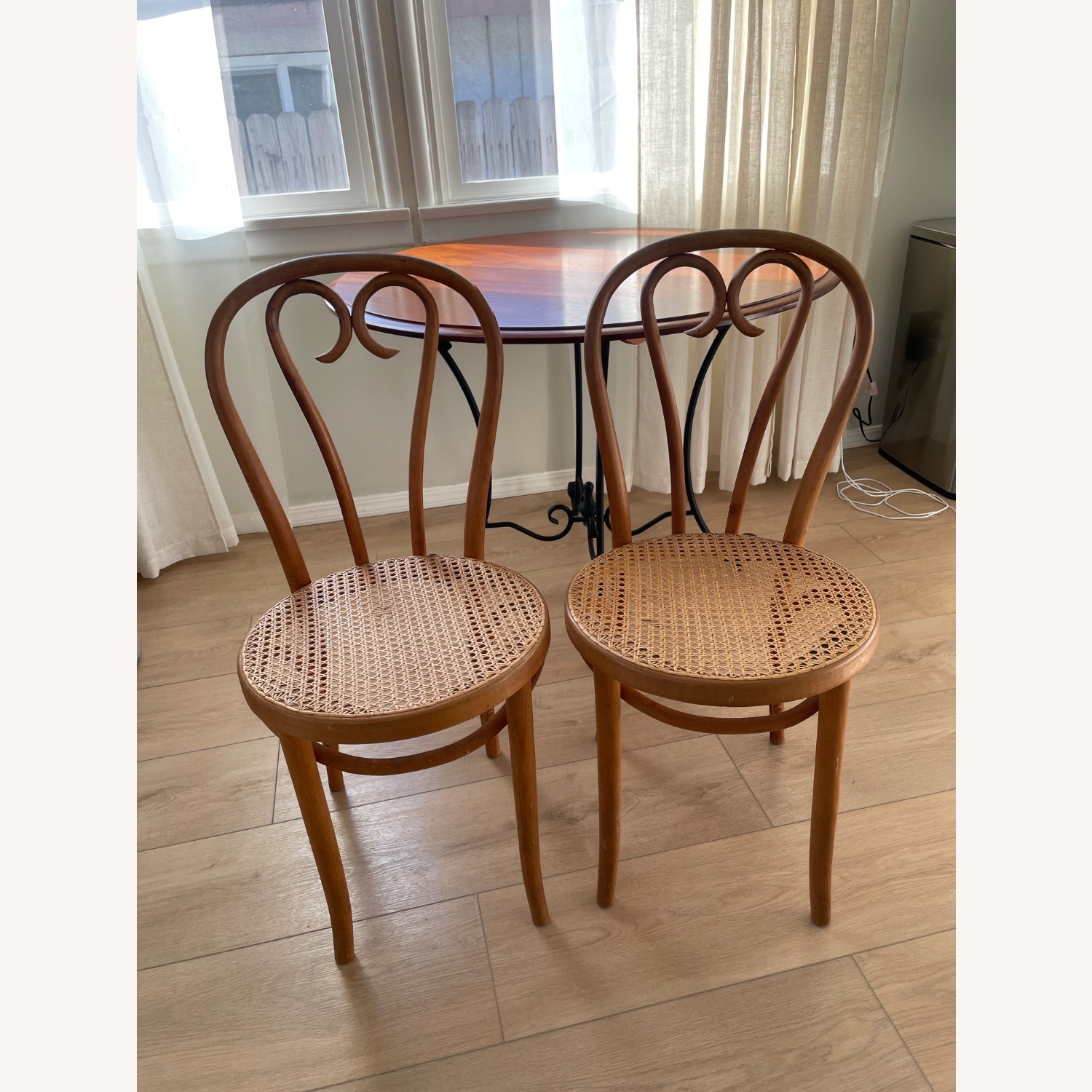 Thonet Dining Chairs - image-1