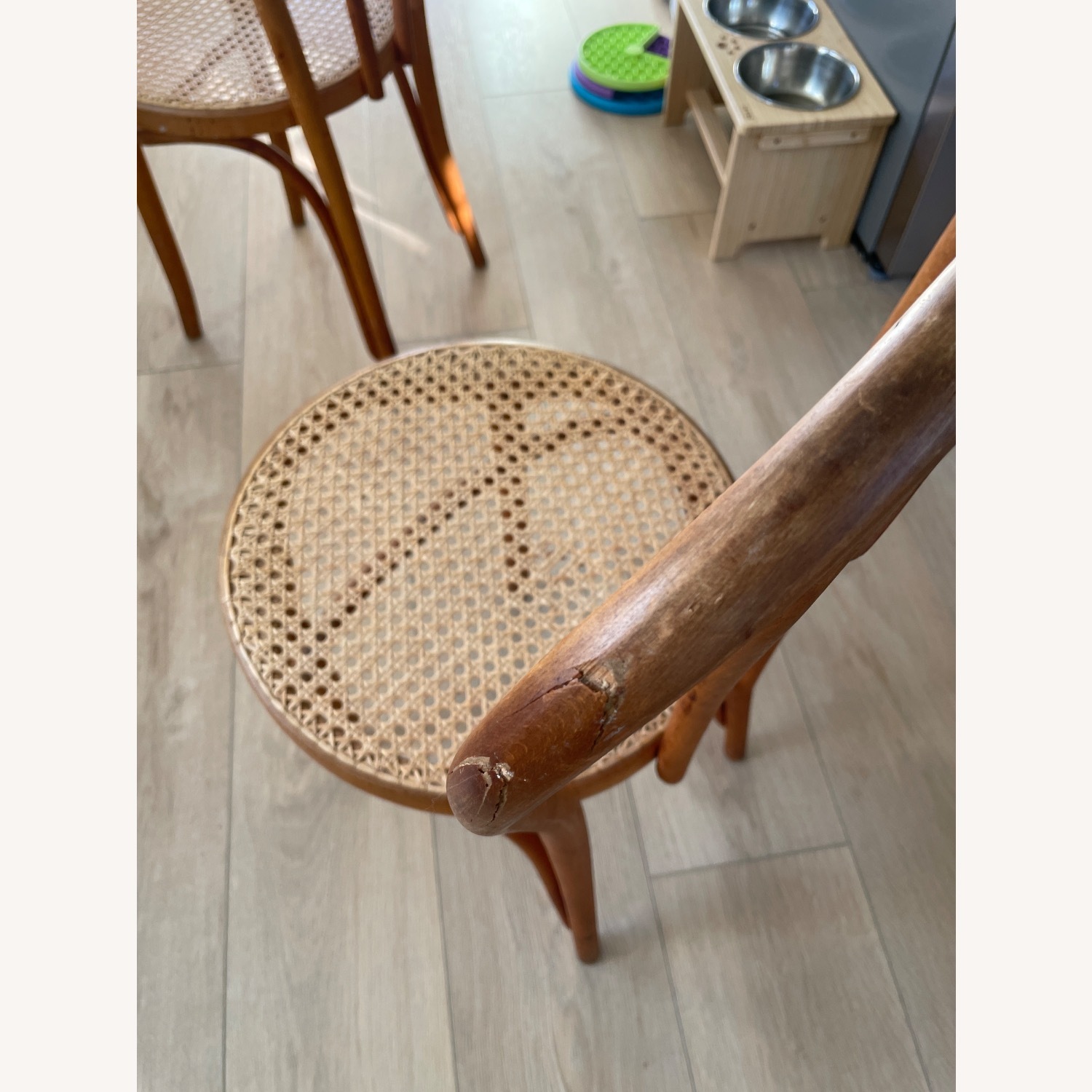 Thonet Dining Chairs - image-2