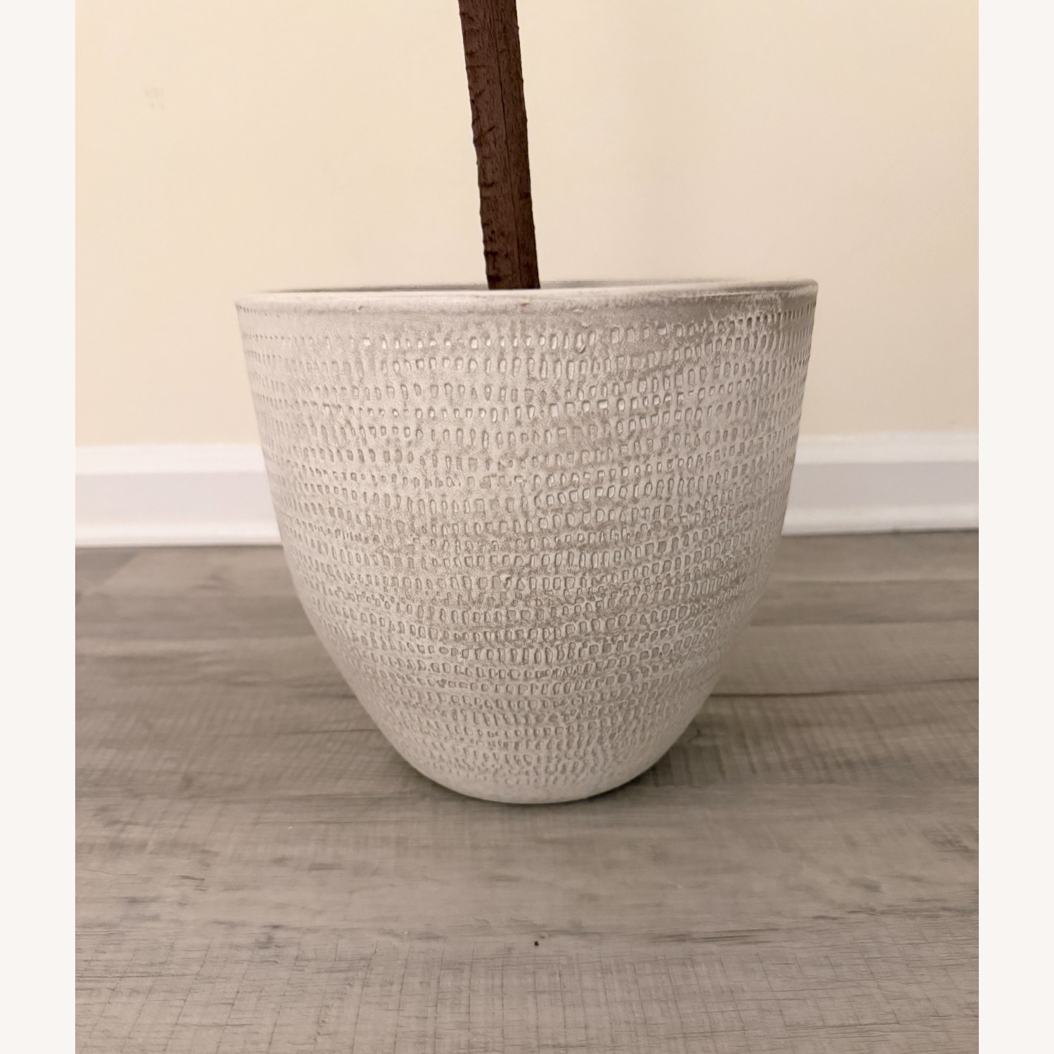 Amazon 6ft Artificial Eucalyptus Tree with Planter - image-3