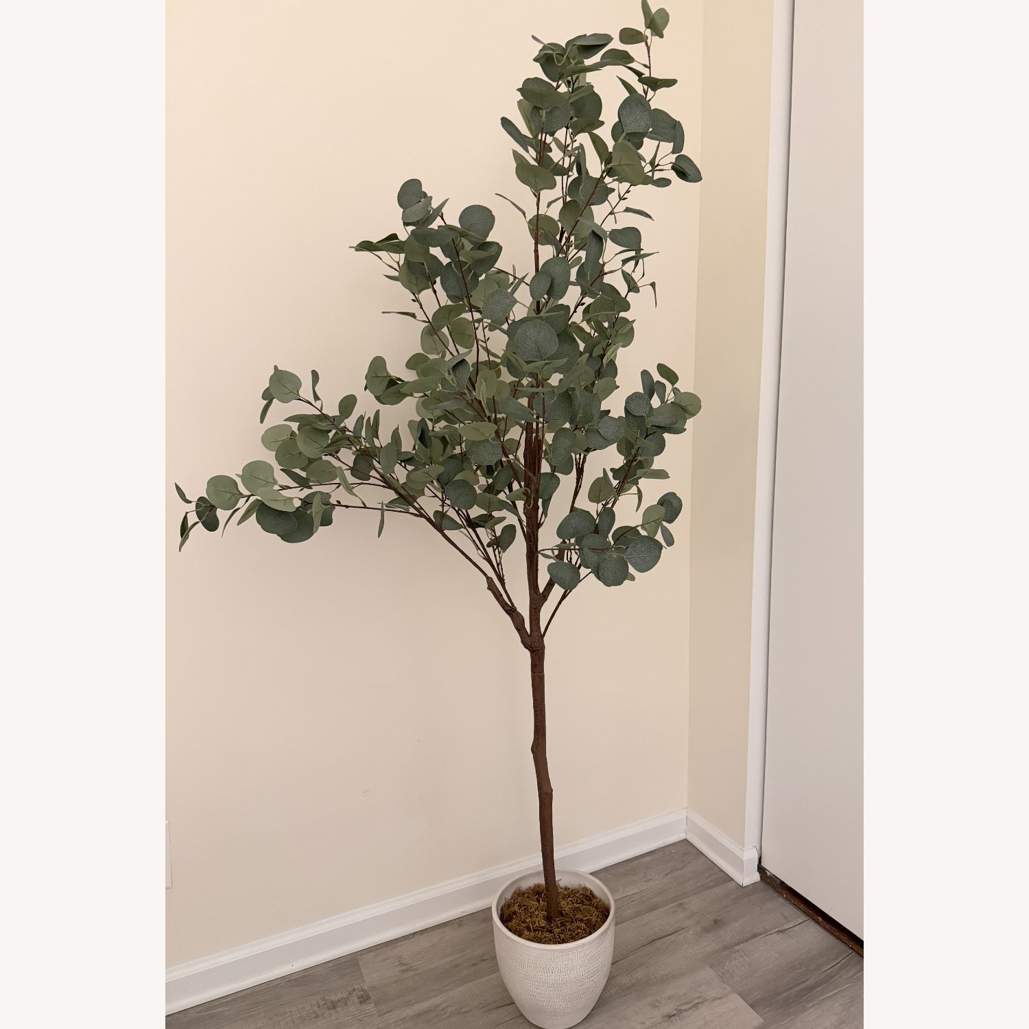Amazon 6ft Artificial Eucalyptus Tree with Planter - image-4