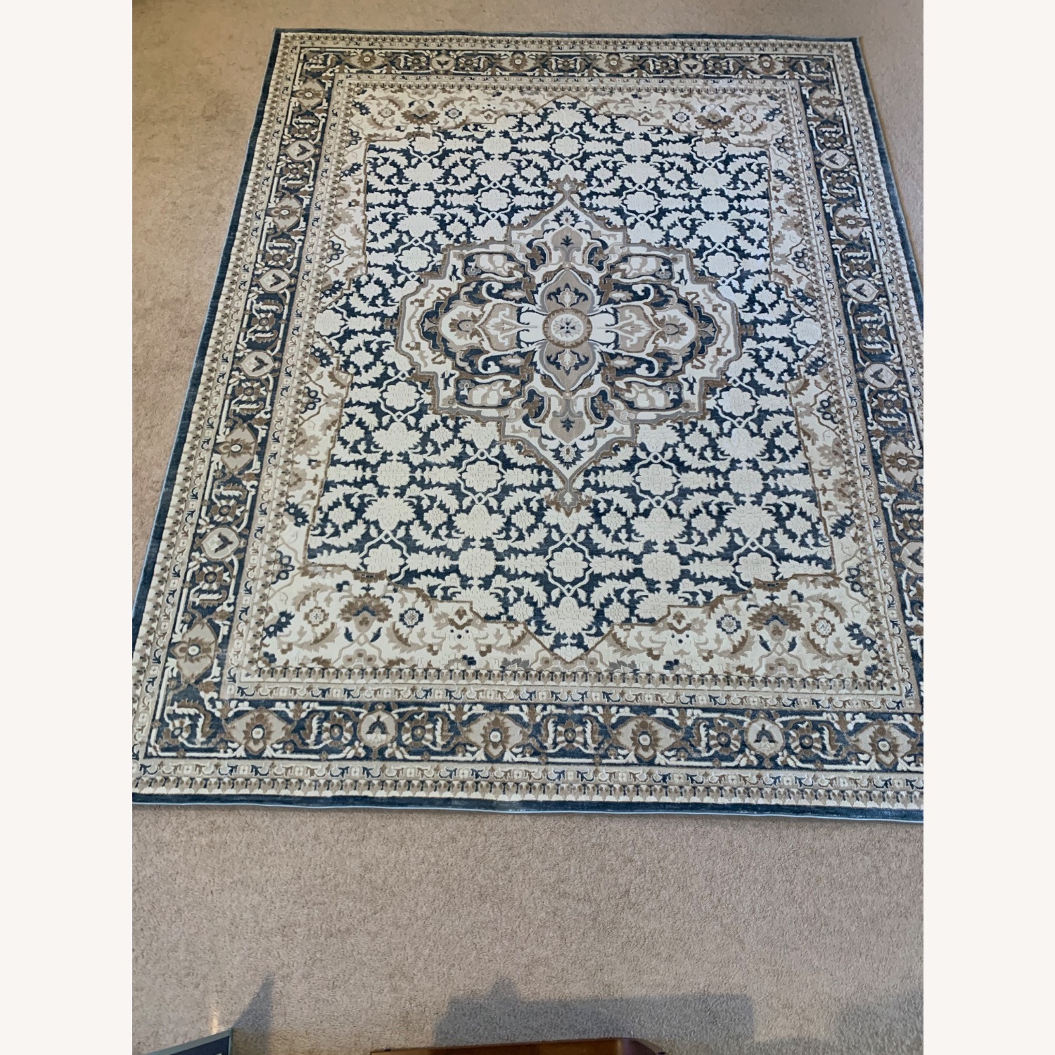 Blue Area Rug 8' x 10' - image-1
