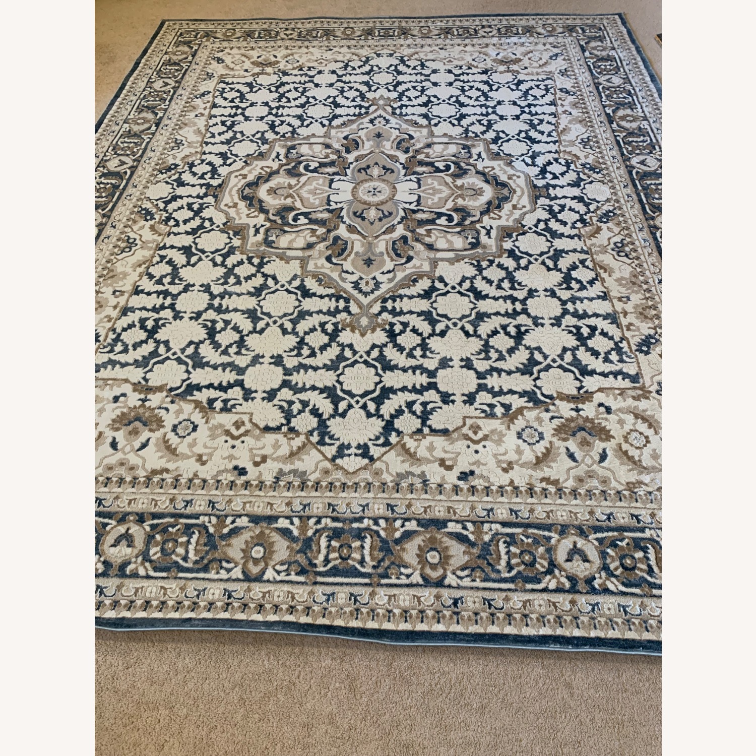 Blue Area Rug 8' x 10' - image-2