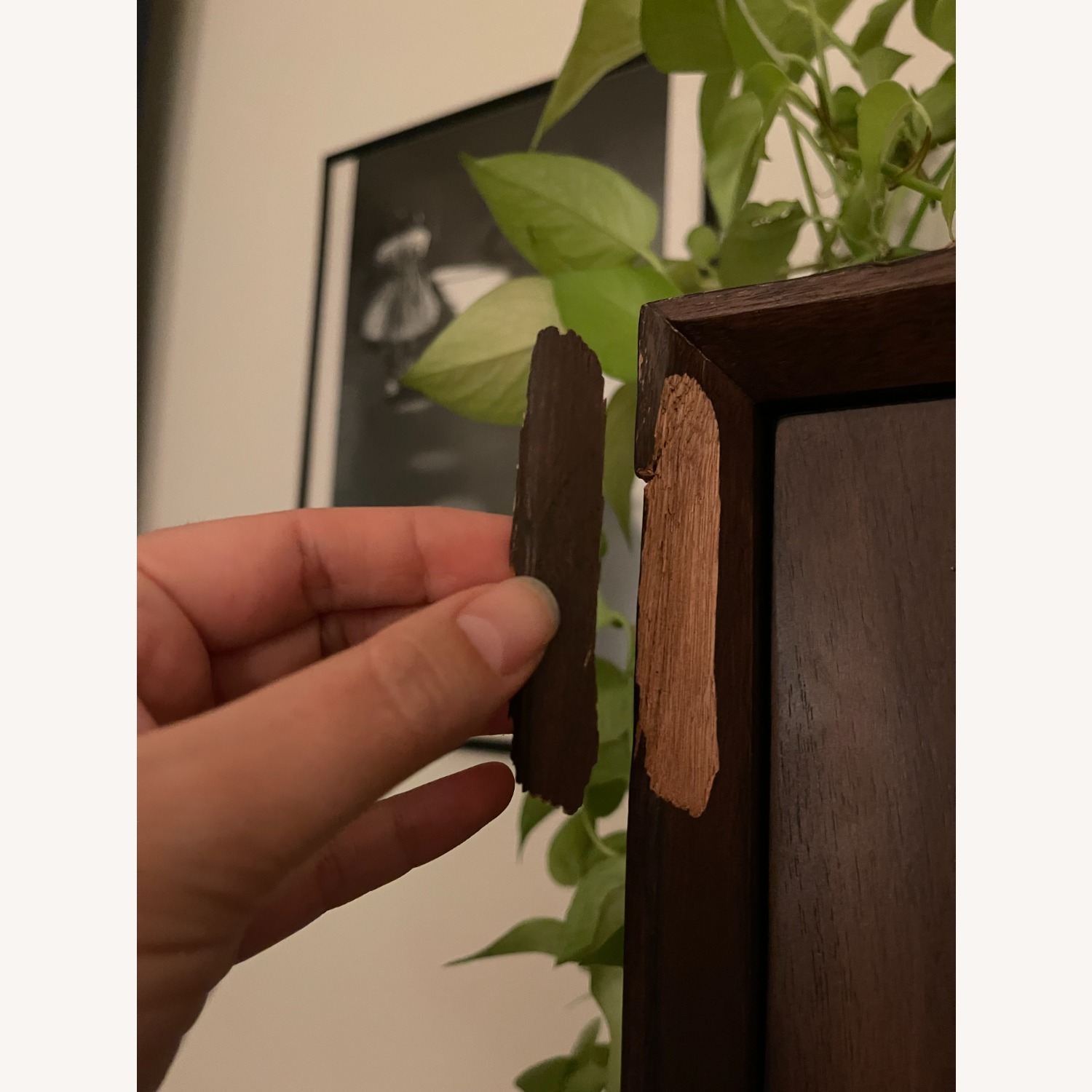 West Elm Mid Century Armoire - Hanging + Shelves - image-7