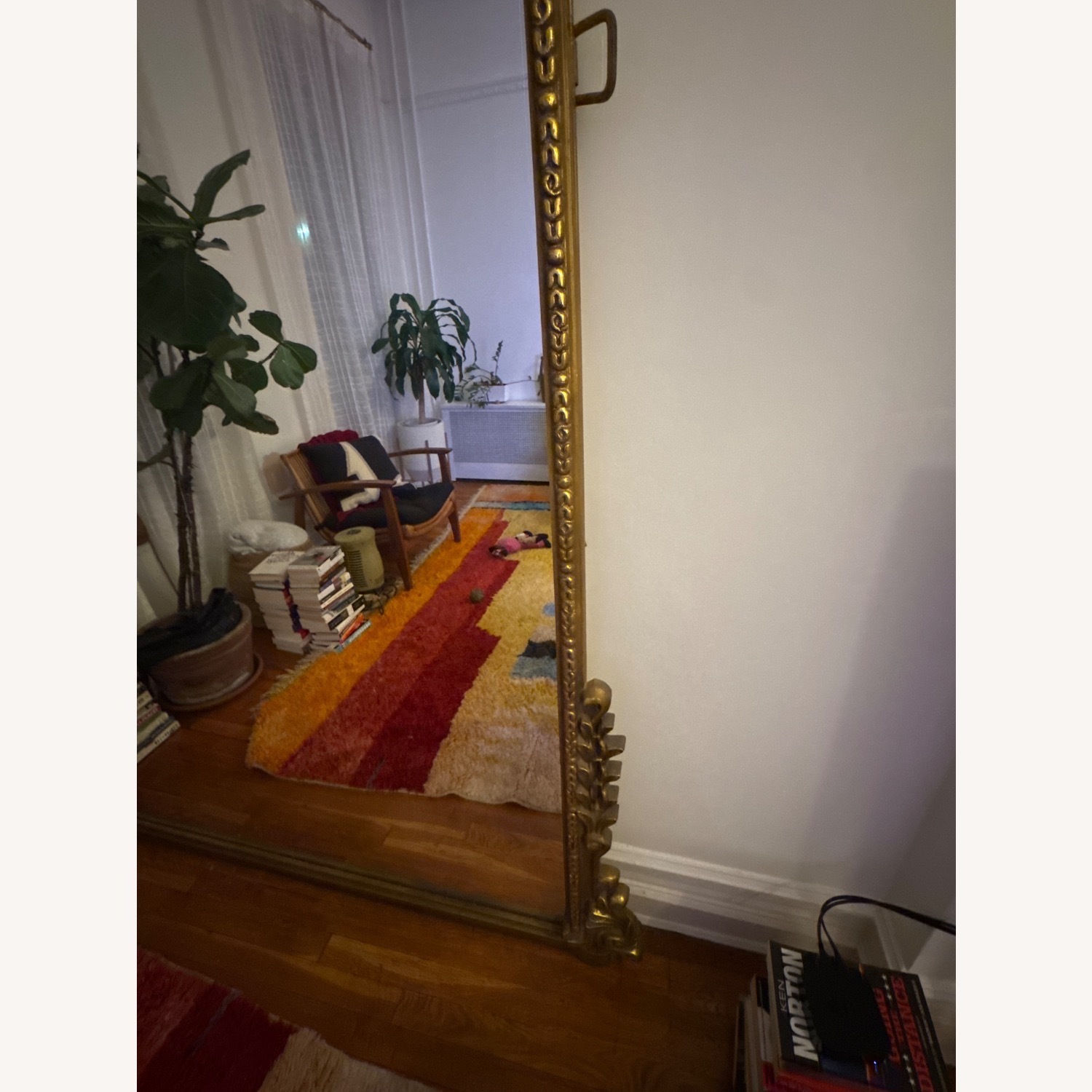 Anthropologie Gleaming Primrose 7' Floor Mirror - image-1