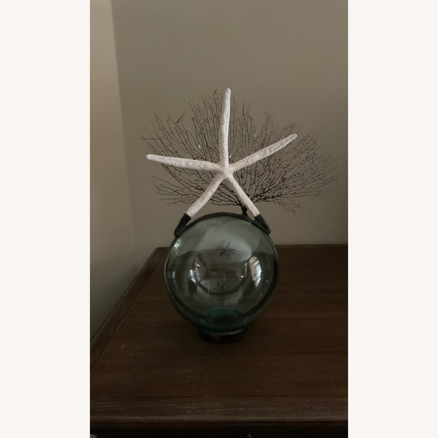 Jamie Dietrich Glass Float Large Starfish Sea Fan - image-1