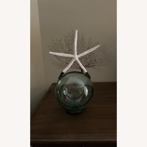 Used Jamie Dietrich Glass Float Large Starfish Sea Fan for sale on AptDeco