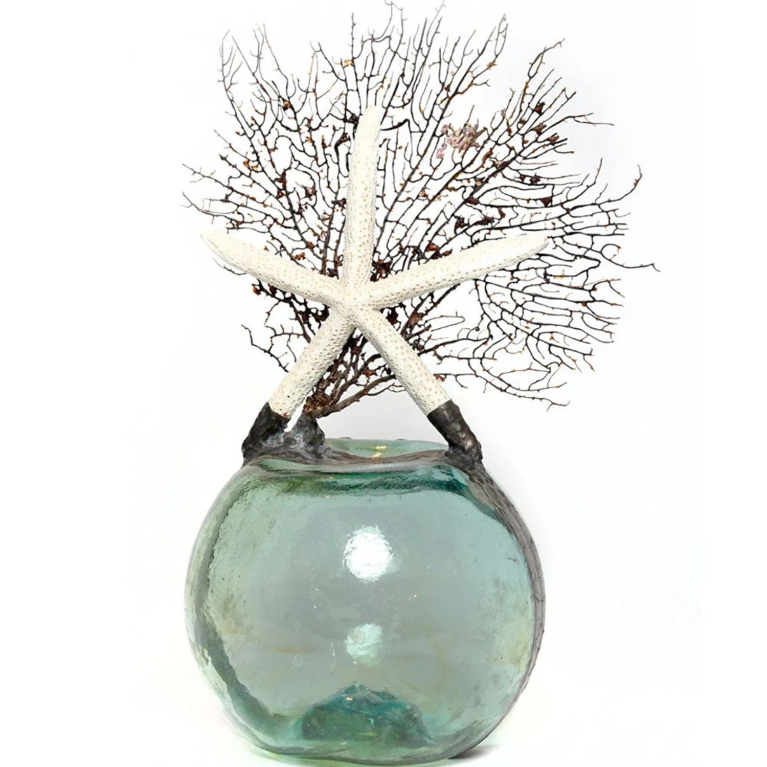 Jamie Dietrich Glass Float Large Starfish Sea Fan - image-0