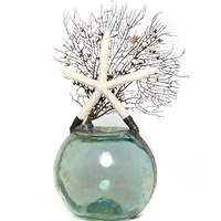 Jamie Dietrich Glass Float Large Starfish Sea Fan 