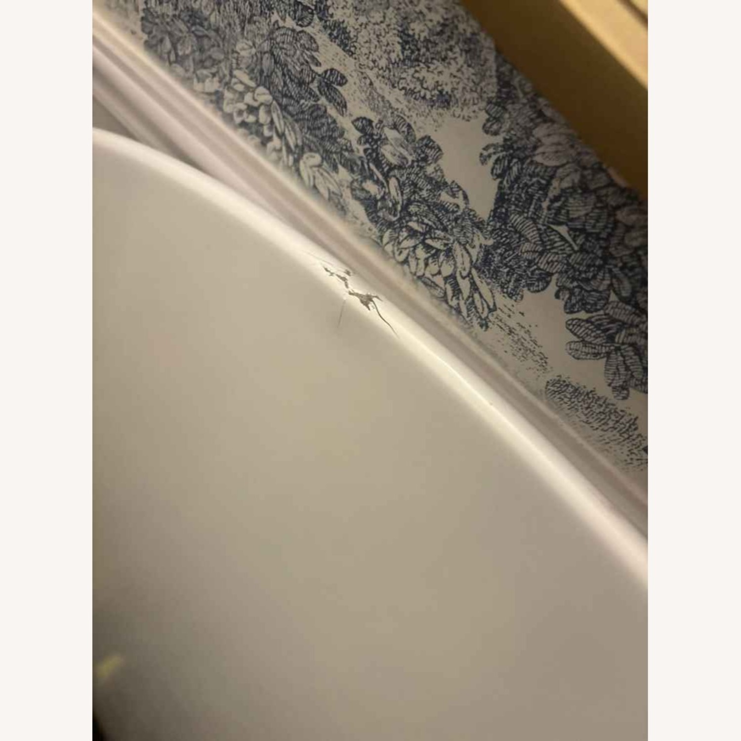 CB2 Odyssey White and Brass Tulip Table - image-3