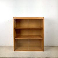 Vintage Low Bookcase with Sliding Doors
