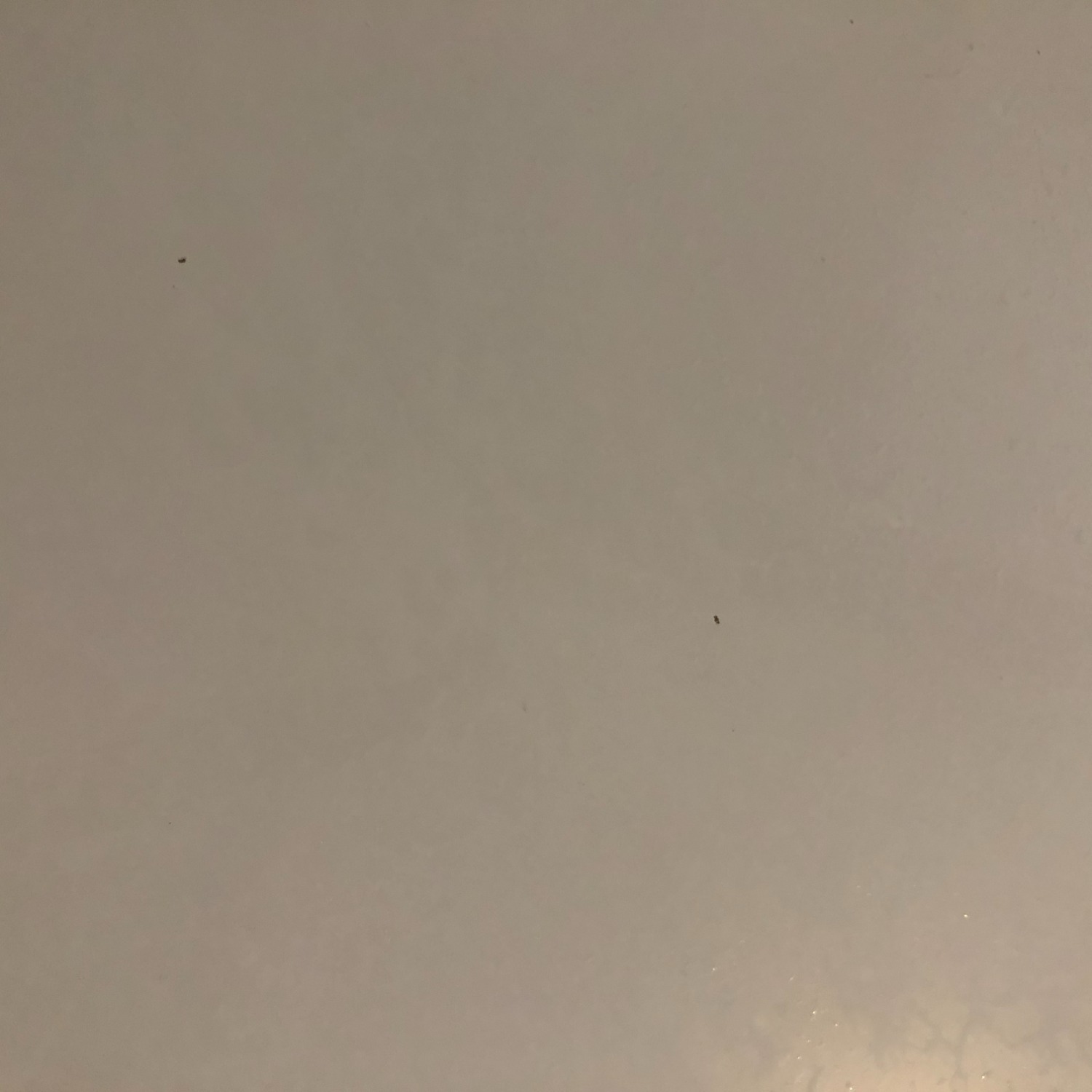 CB2 White Lacquer Media Storage - 80" - image-7