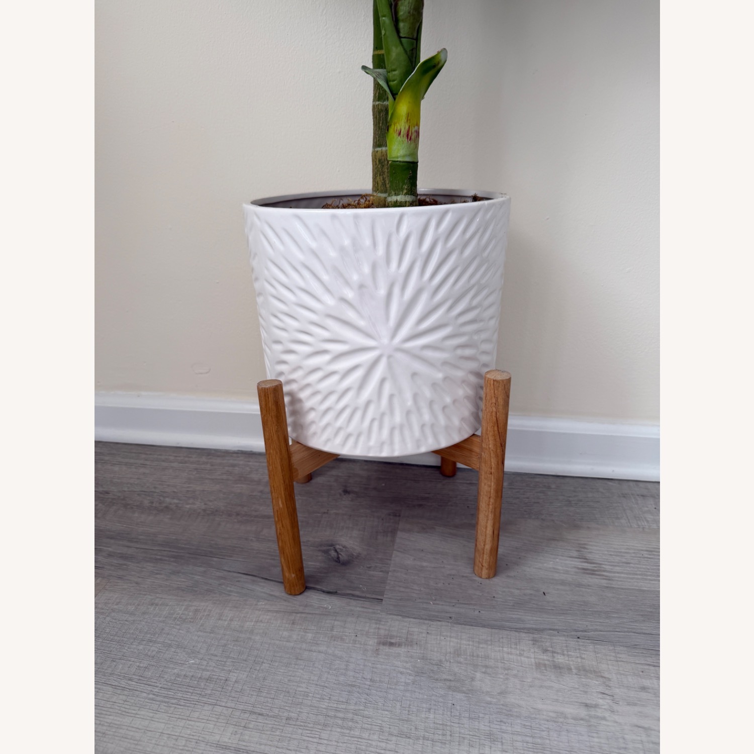 6.5 ft Artificial Palm with White Textured Planter - image-3