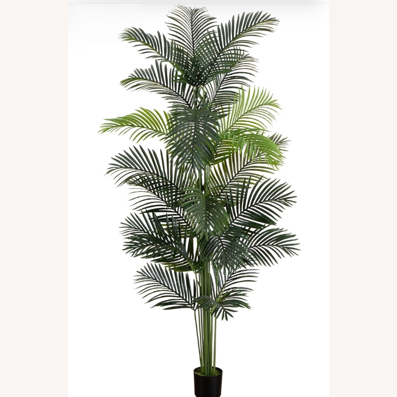 8 ft Artificial Palm with White Textured Planter - image-1