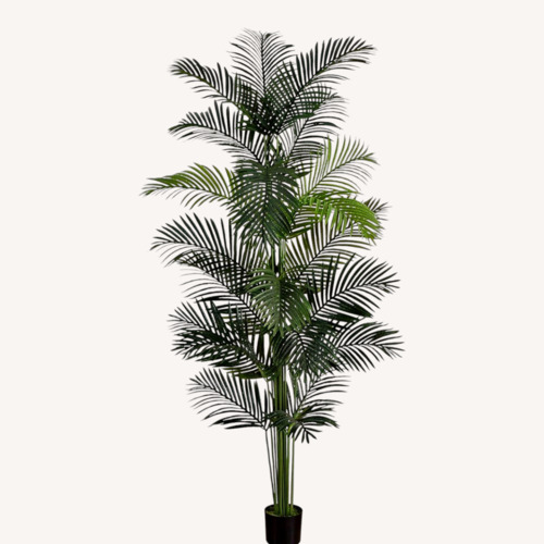 Used 8 ft Artificial Palm with White Textured Planter for sale on AptDeco