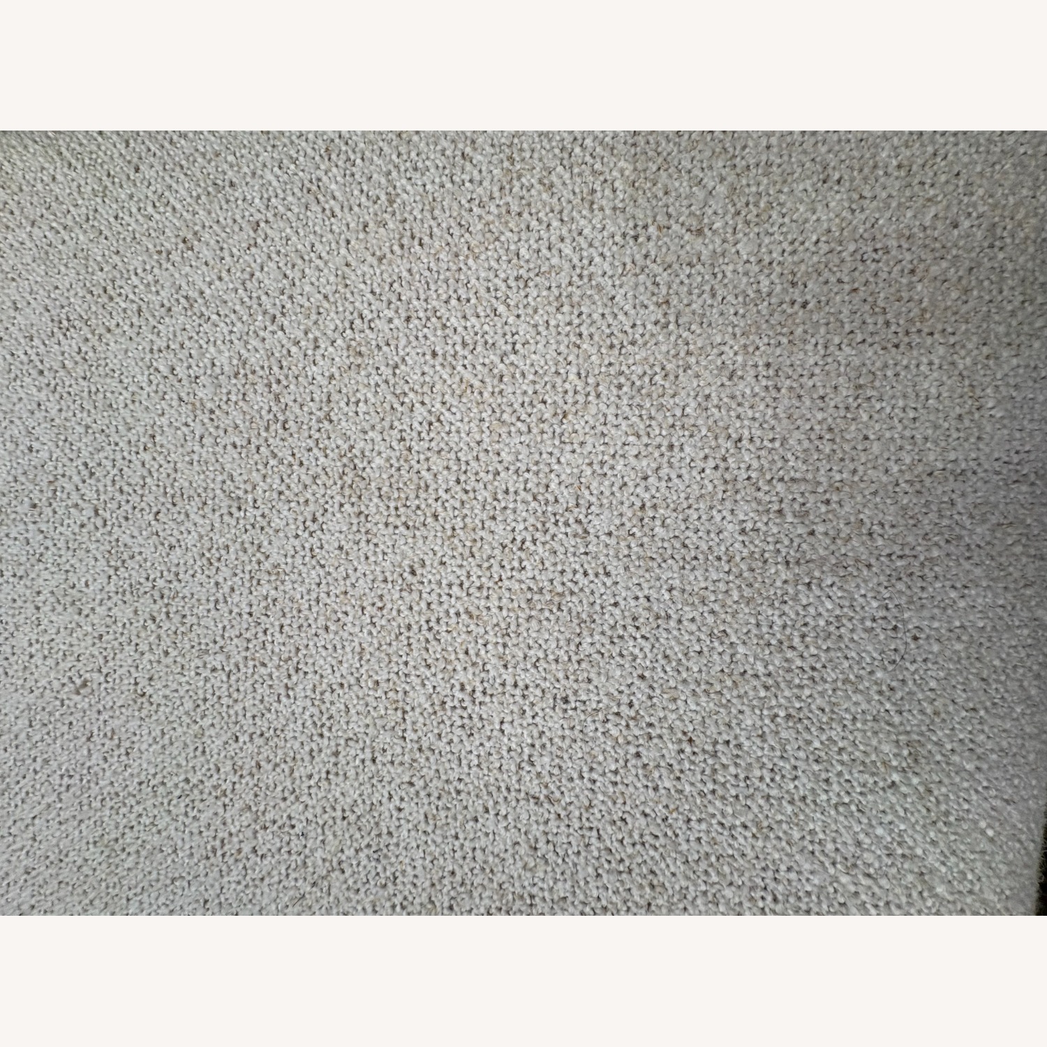 Pottery Barn Pb Comfort Dining Chairs - image-14