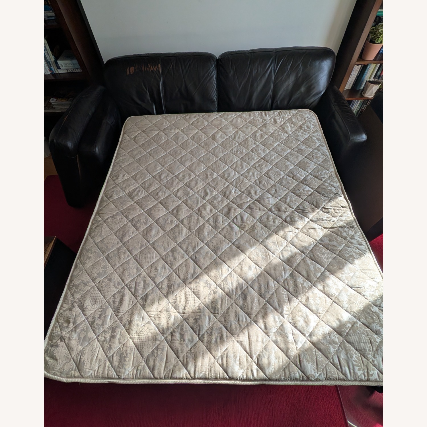 Raymour & Flanigan Trent Queen Leather Sleeper Sofa - image-5