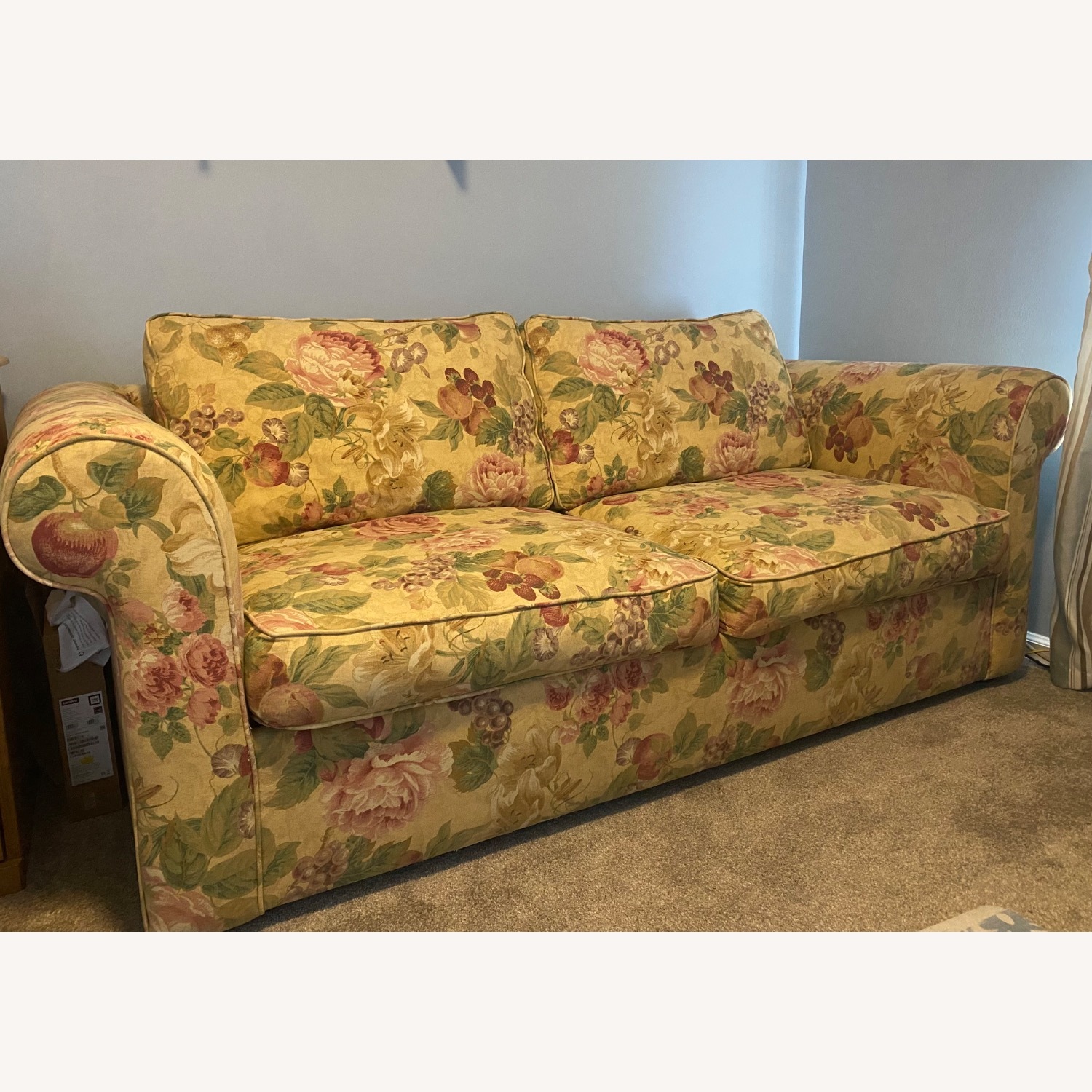 Fabric Sleeper Sofa - image-1