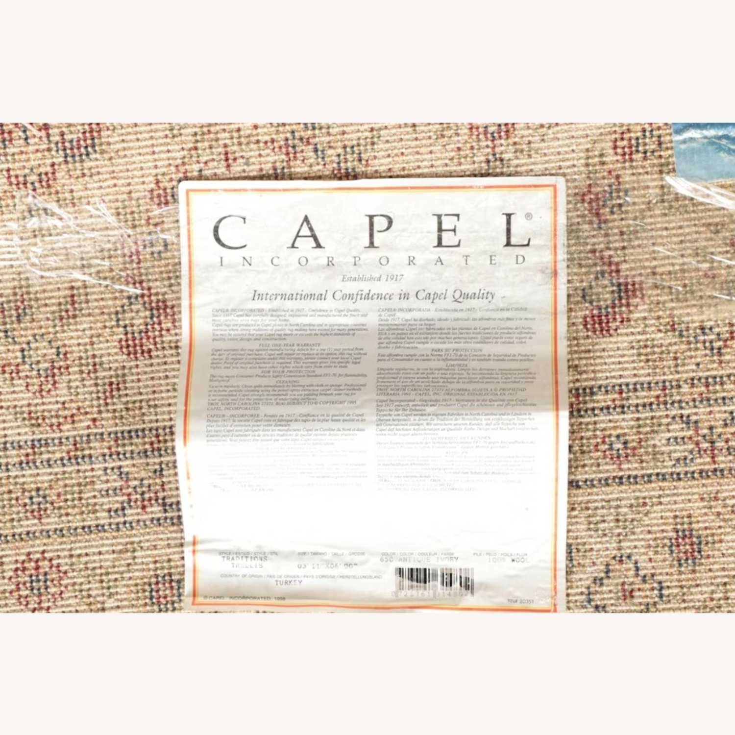 Capel Handmade Wool Area Rug 4' x 6' - image-8