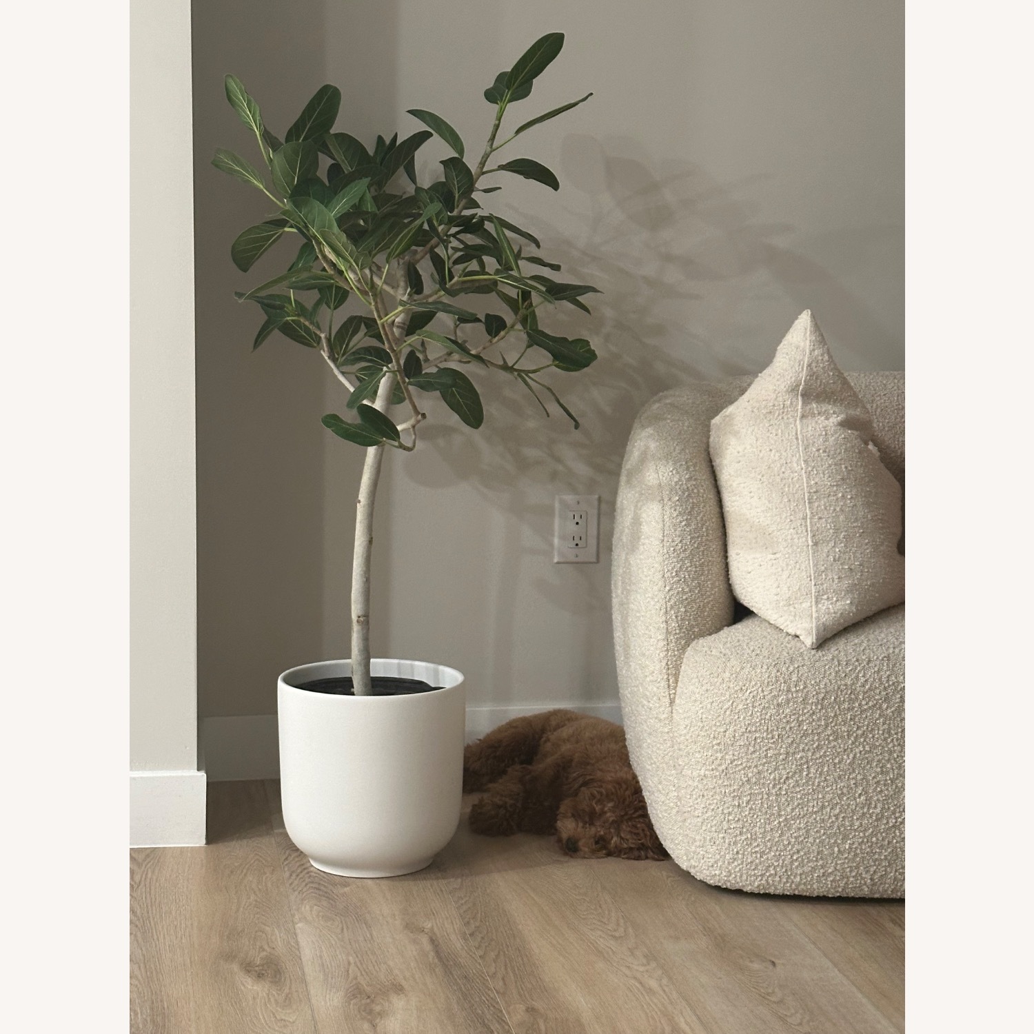 CB2 Goop White Fabric Loveseat - image-2