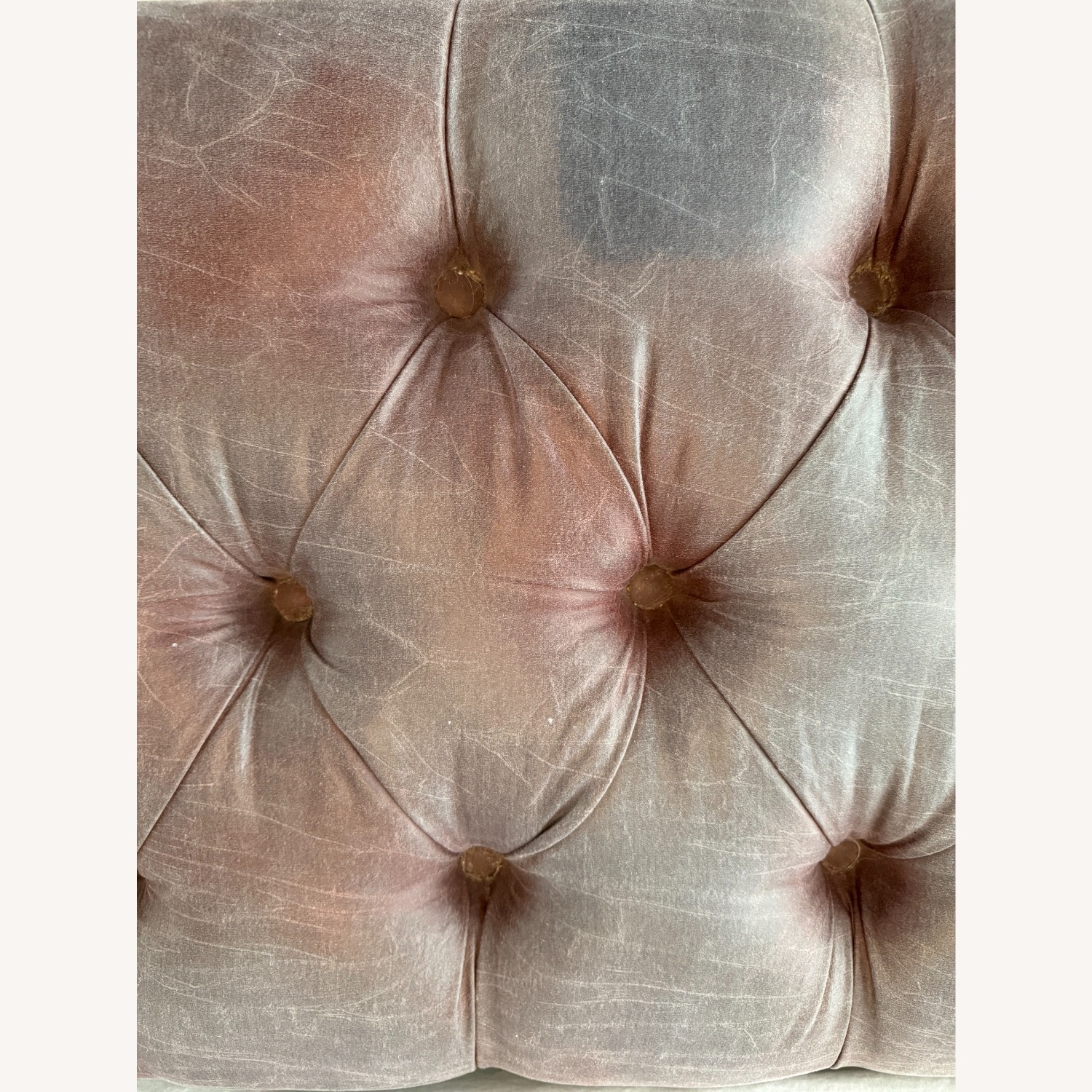 Purple Bench - image-5