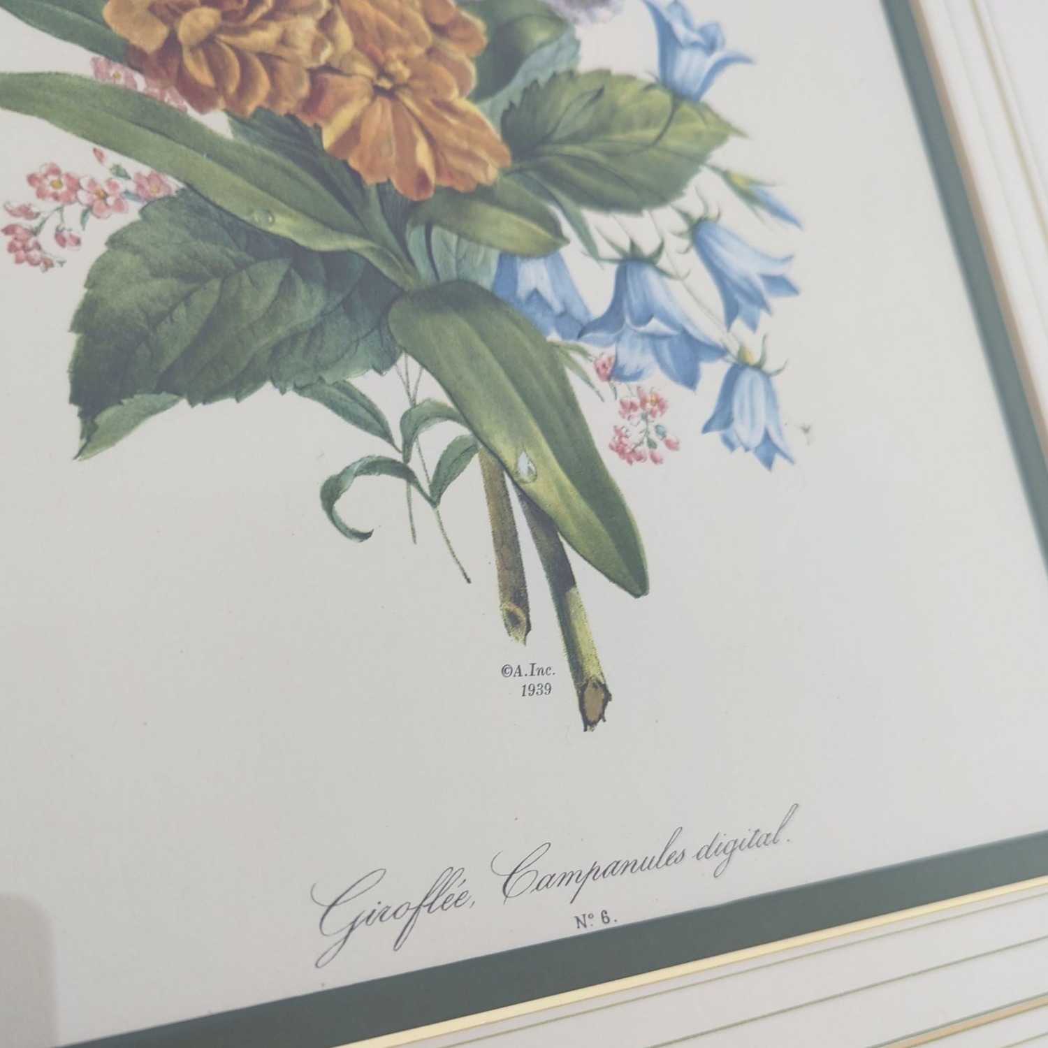 Botanical Flower Print Framed,Campanules Digital	 - image-3