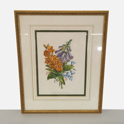 Used Botanical Flower Print Framed,Campanules Digital	 for sale on AptDeco