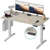 Seilles 55.1" W Height Adjustable Standing Desk