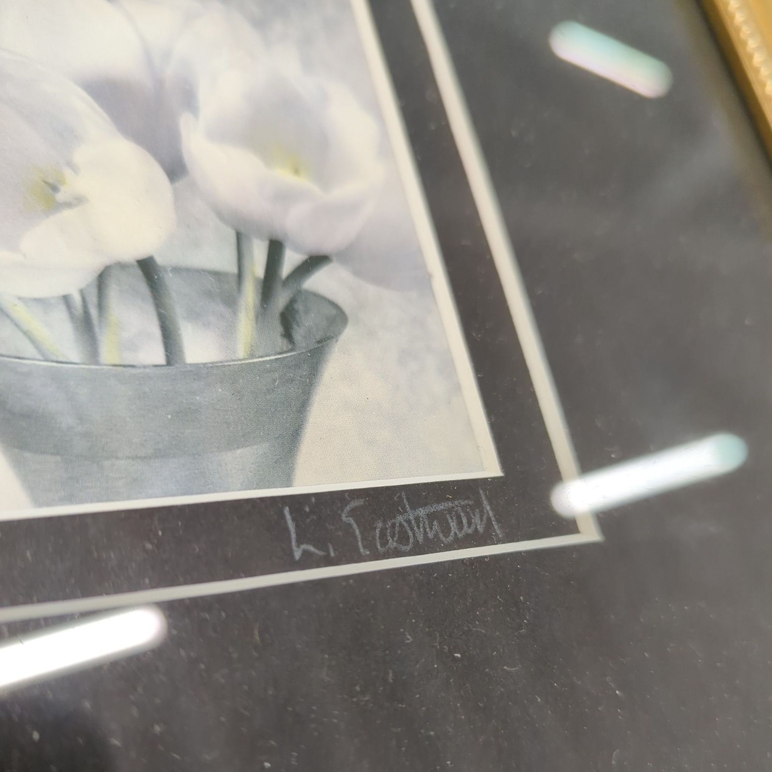 Framed Floral Print by L. Eastwood with Gold - image-4