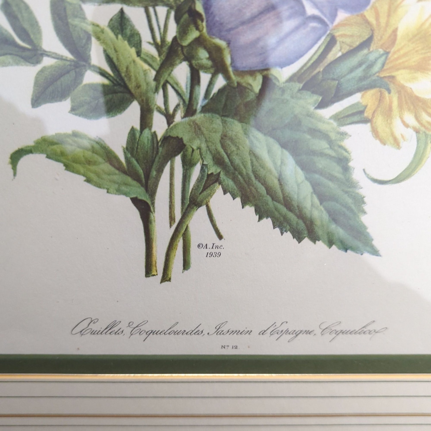 Framed Botanical Flower Print ‚Coquille, Jasmin d - image-3