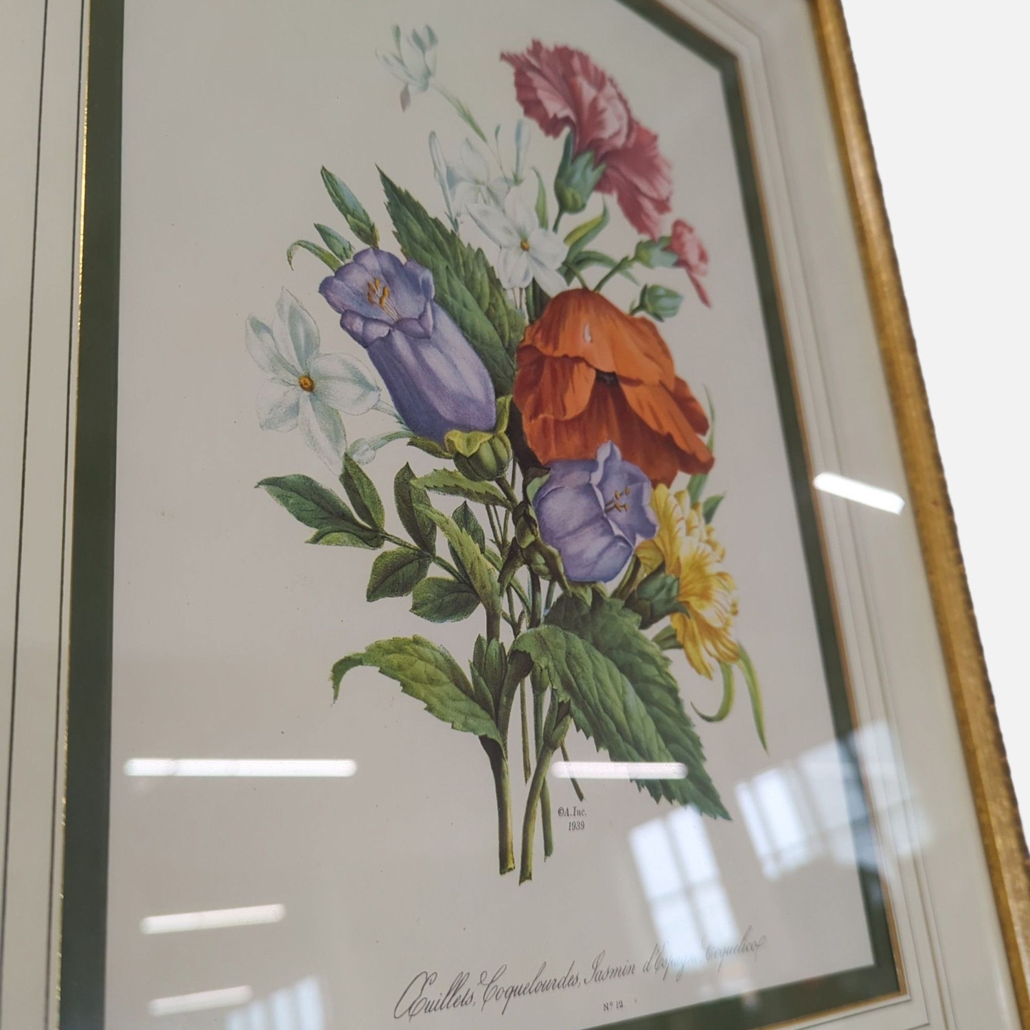 Framed Botanical Flower Print ‚Coquille, Jasmin d - image-2