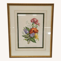 Framed Botanical Flower Print ‚Coquille, Jasmin d