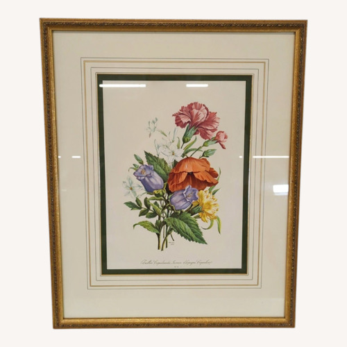 Used Framed Botanical Flower Print ‚Coquille, Jasmin d for sale on AptDeco
