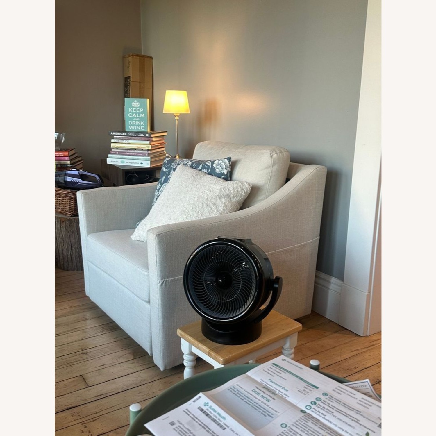 Modern Lounge Chair with Cushioned Seat and Back	 - image-8