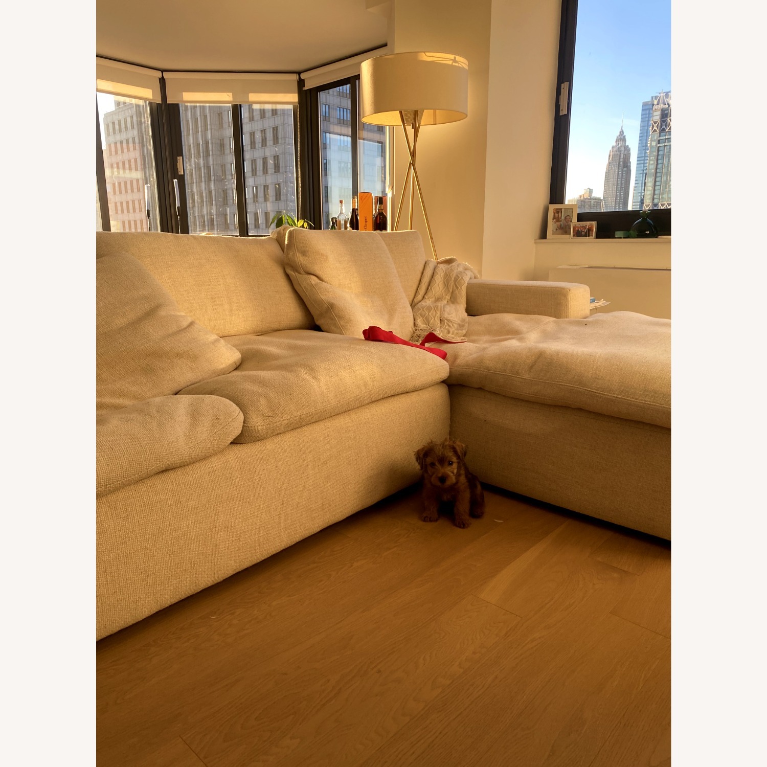 France and Son Sectional - image-3