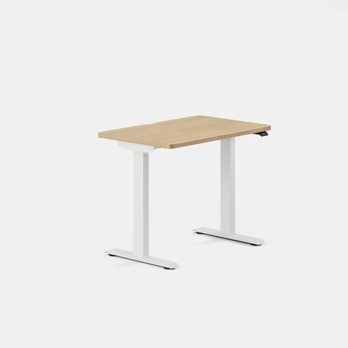 Used Branch Duo Standing Desk Natural Wood Desk for sale on AptDeco