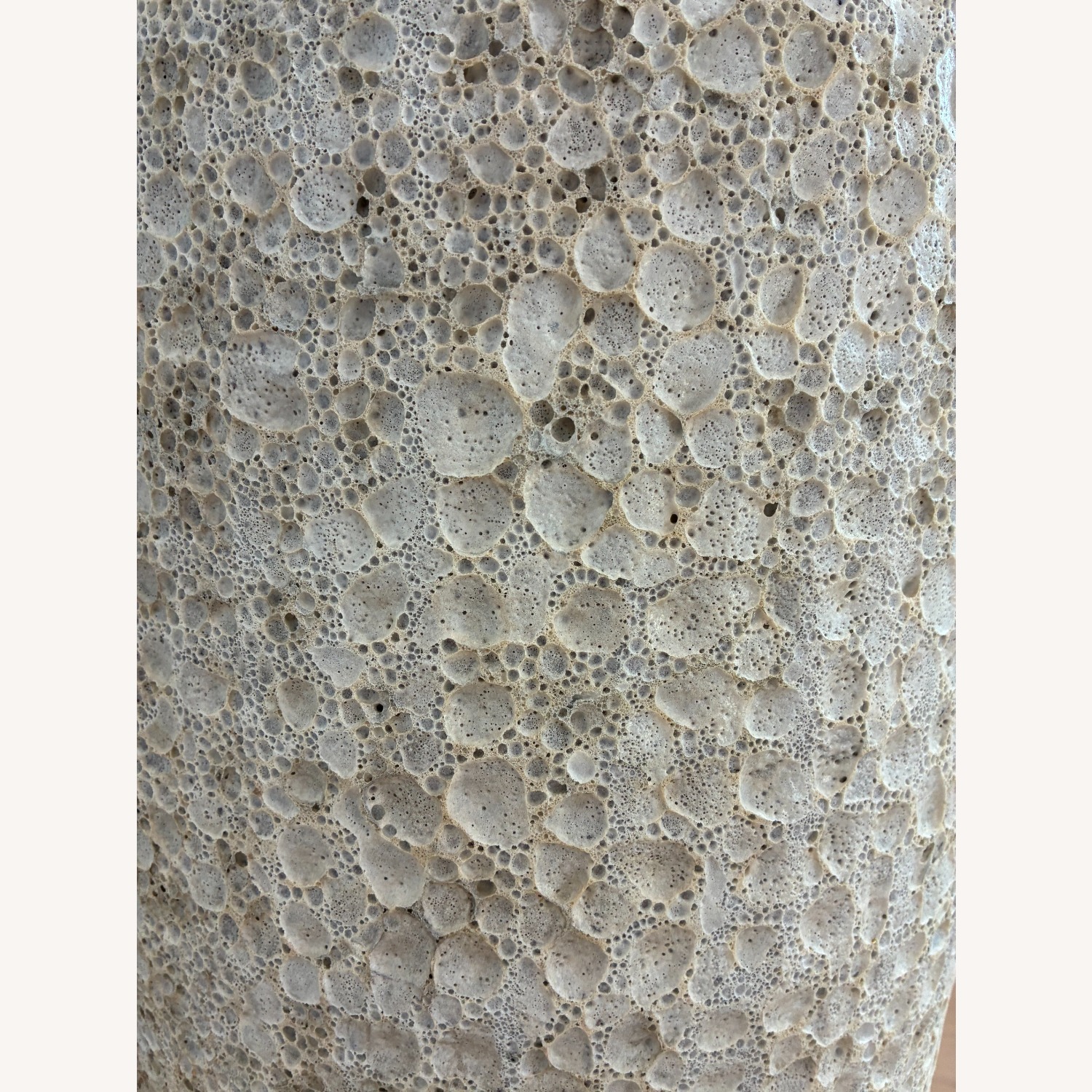 Clay Coral-Designed Planter W Faux Tree - image-2