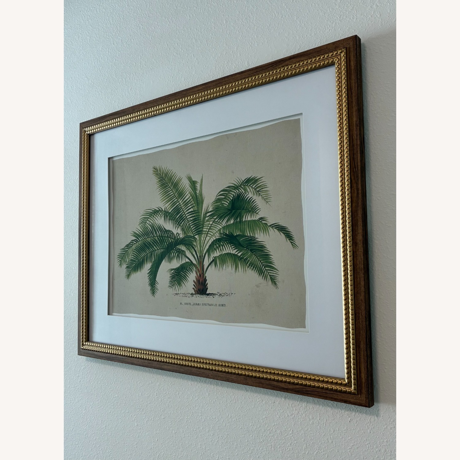 Botanical Framed Linen Canvas Art - image-2
