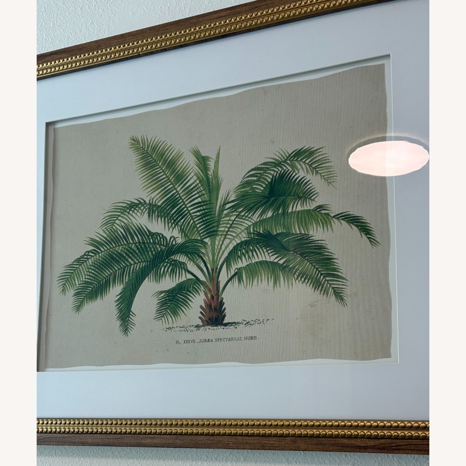 Botanical Framed Linen Canvas Art - image-5