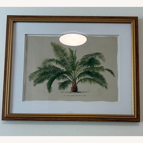 Used Botanical Framed Linen Canvas Art for sale on AptDeco