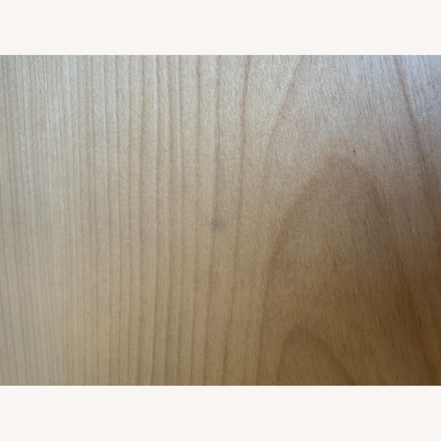 Floyd Birch Coffee Table - image-3