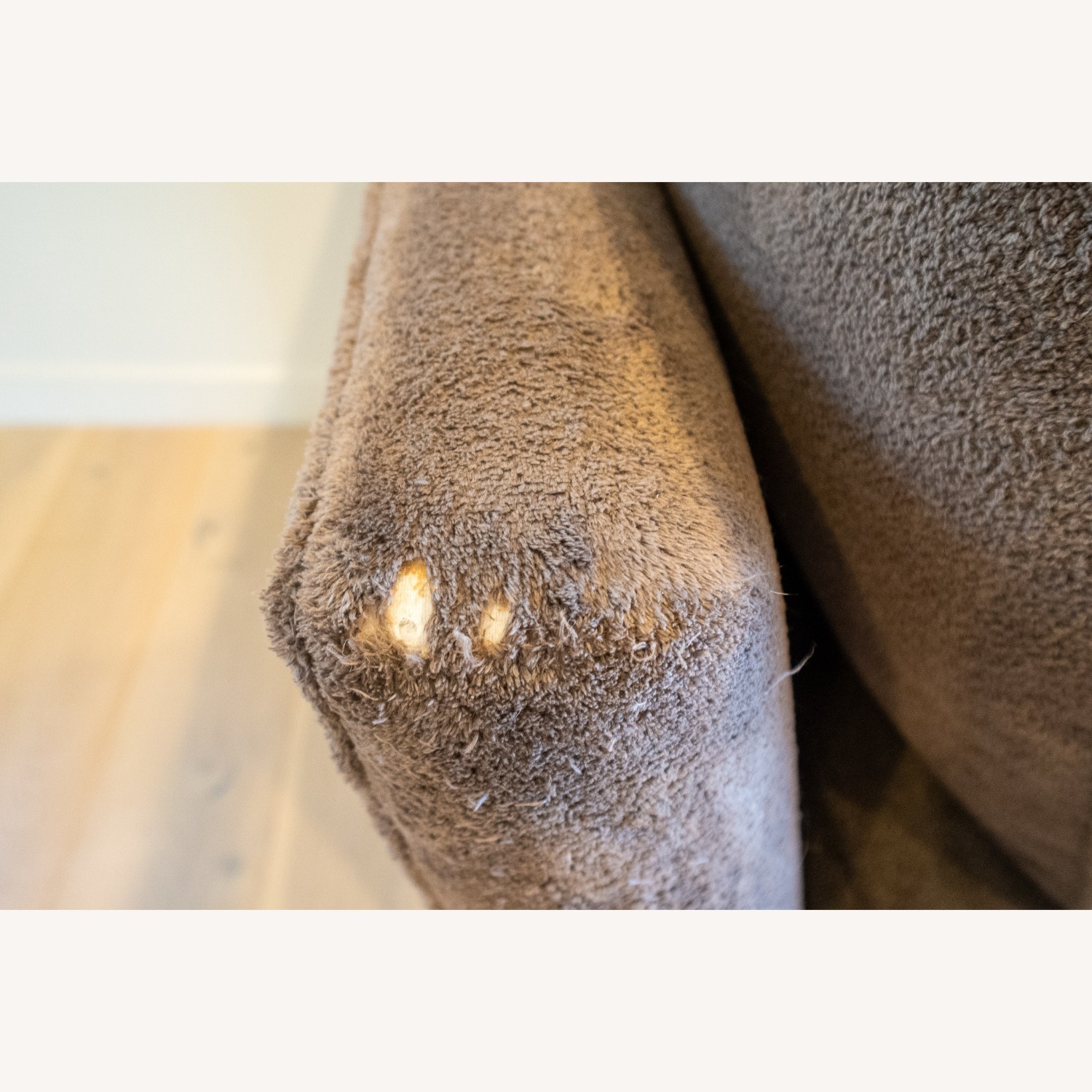 Crate & Barrel Marlowe Dark Brown Terry Daybed - image-14