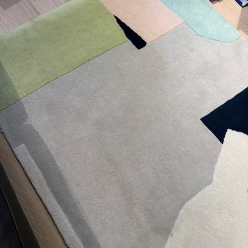 Used Contemporary Rug 4' x 6' for sale on AptDeco