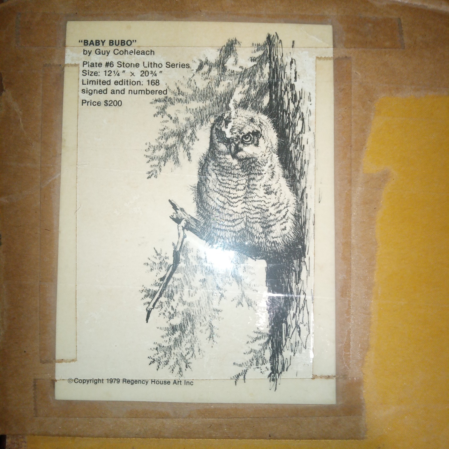 Vintage/Antique Baby Bubo Wall Art - image-3