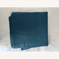 West Elm 100% Silk Curtain Panels 