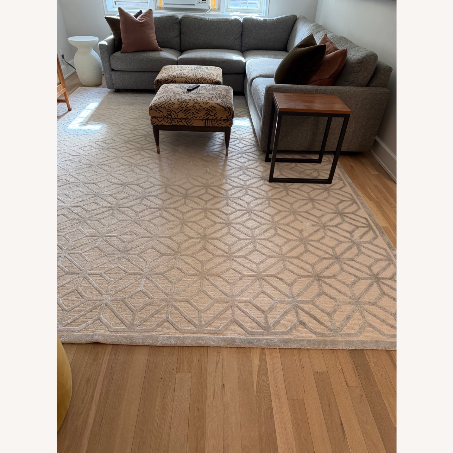 Safavieh Area Rug 9' x 12' - image-1