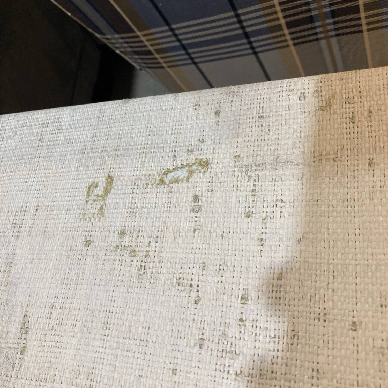 Bar Harbor Raffia 3-Drawer Chest Dresser - image-7