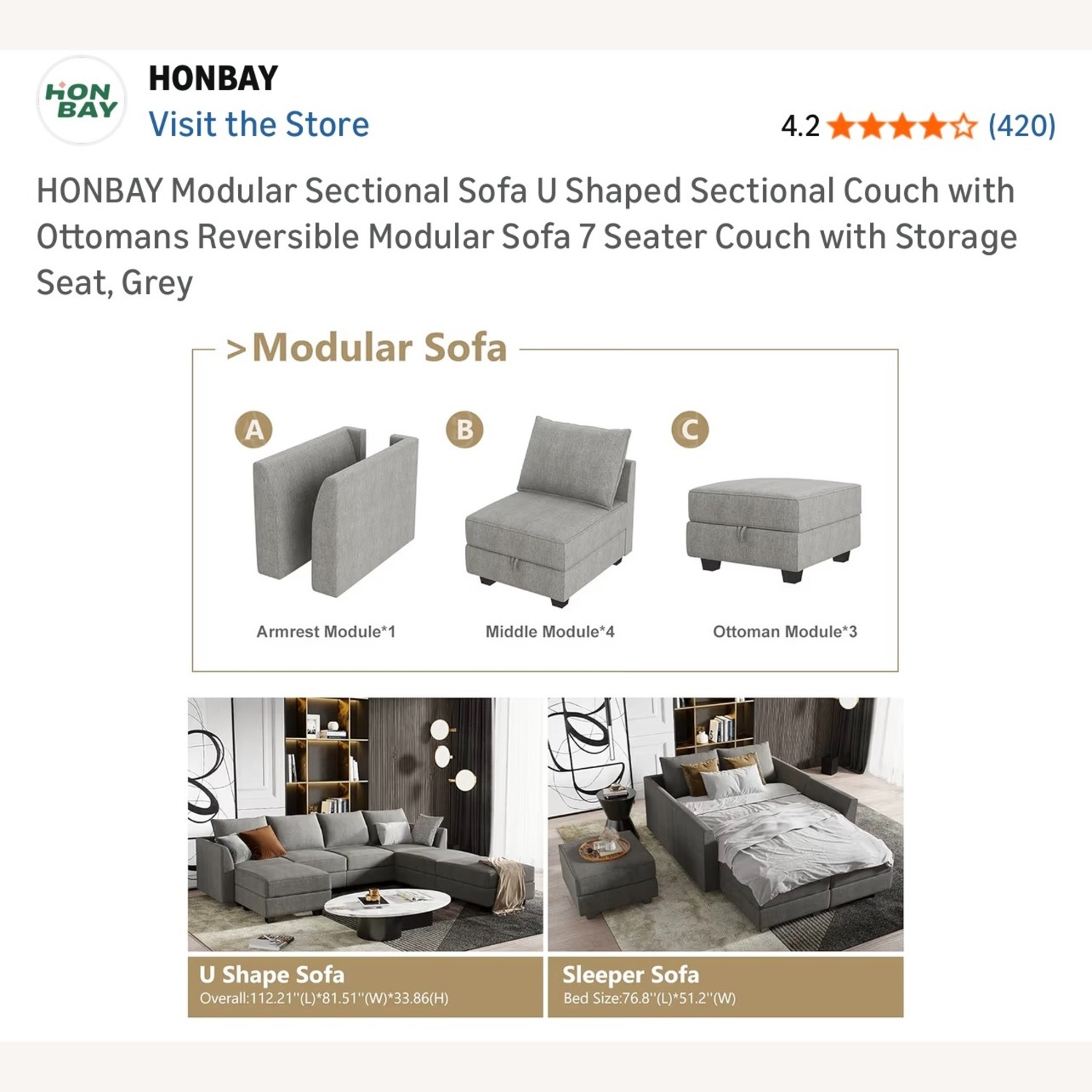 Wayfair Gray Sectional Sofa with Storage - image-9