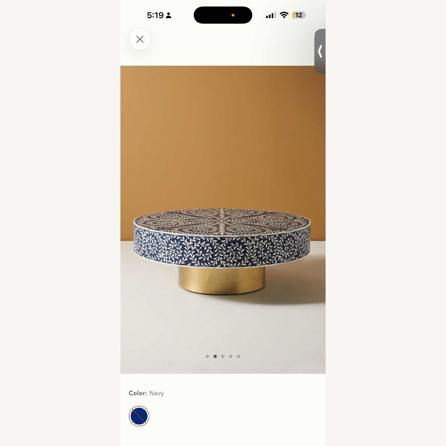 Anthropologie Scroll Vine Inlay Coffee Table - image-6